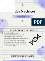 Ácidos Nucleicos