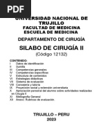 SILABUS CIRUGIA II 2023, Word