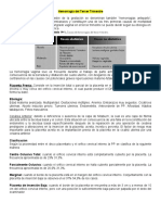 Hemorragia Del III Trimestre, CICLO MENSTRUAL