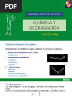 Diapositivas Degradación de Lípidos