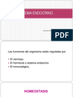 Clase. Sistema Endocrino