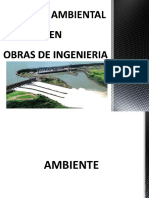 Impacto Ambiental en Obras de Ingenieria