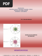 Inmunología 2