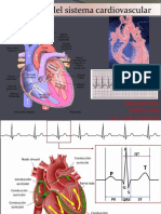 Patologias Del Sistema Cardiovascular Actualizacion 2022