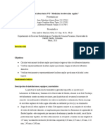 Informe de Laboratorio N°3 "Medición de Elevacion Capilar"