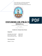 Informe Semana 10