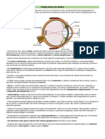 Fisiologia Da Visão