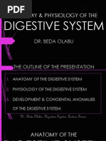 15 - Digestive System Anatomy and Physiology Series