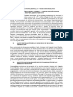 Derechos Fundamentales y Derechos Humanos