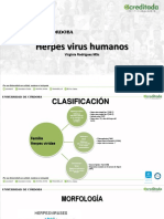 Herpesvirus Humanos