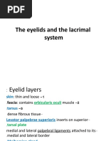 The Eyelids