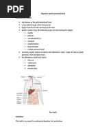 Digestive System Summarised