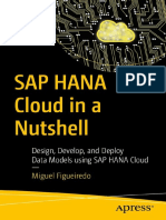 SAP HANA Cloud in A Nutshell