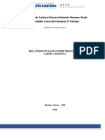 Relatório de Estágio Saúde Pública - Guilherme Souza Silva WORD