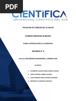 Informe 8 Introducción A La Medicina Resumido