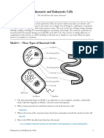 7 Prokaryote and Eukaryote Cells-S