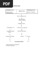 Pathophysiology of Brain Tumor