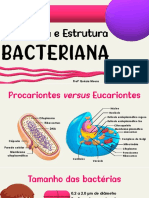 Aula - Morfologia e Estrutura Bacteriana