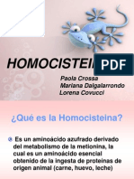 Homocisteina