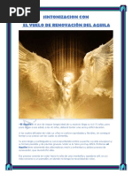 Manual Sintonización El Vuelo de Renovacion Del Aguila-Ashram Del Grial