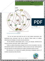 Teia Alimentar