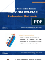 Electroforesis Semana 12