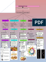 Mapa Conceptual de Biomoleculas 3