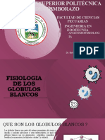 Fisiologia de Los Globulos Blancos