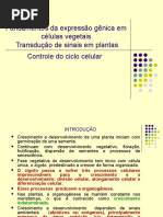 BVE 3009 - AULA 1-Conceitos de Crescimento e Desenvolvimento