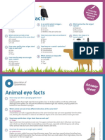 AOP Worksheet Animal Eye Facts