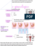 Tacto Ginecológico