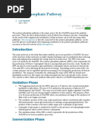 Pentose Phosphate Pathway