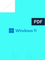 Windows 11