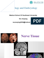 Histology 7 Nerve Tissue