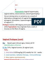 Reproductive - Genital System-2