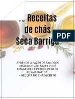 10 Receitas de Cha Seca Barriga (Geslaine) PDF