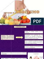 Perspectiva General Del Metabolismo