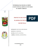 Enlatado de Frutilla