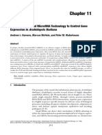 The Use of Artifi Cial MicroRNA Technology To Control Gene Expression in Arabidopsis Thaliana