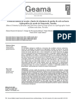 4365-Texto Do Artigo-482501155-1-10-20211222