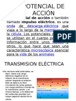 Sinapsis Quimica