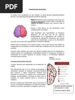 Especialización Hemisférica