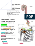 APUNTES