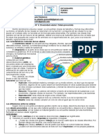 Biologia 2do Año (Diversidad Celular y Procariotas)