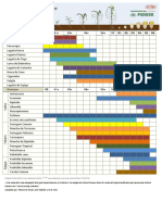 Calendario Pragas Doencas Milho