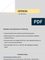 11 Operon