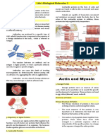 Lifes Biological Molecules 2