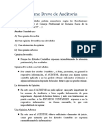 Informe Breve de Auditoria