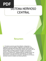 Sistema Nervioso Central I