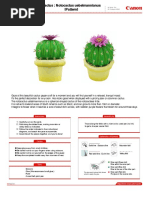 Cactus Papercraf